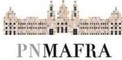 Logo Palácio Nacional de Mafra